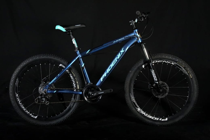 Phoenix Duster Bicycle